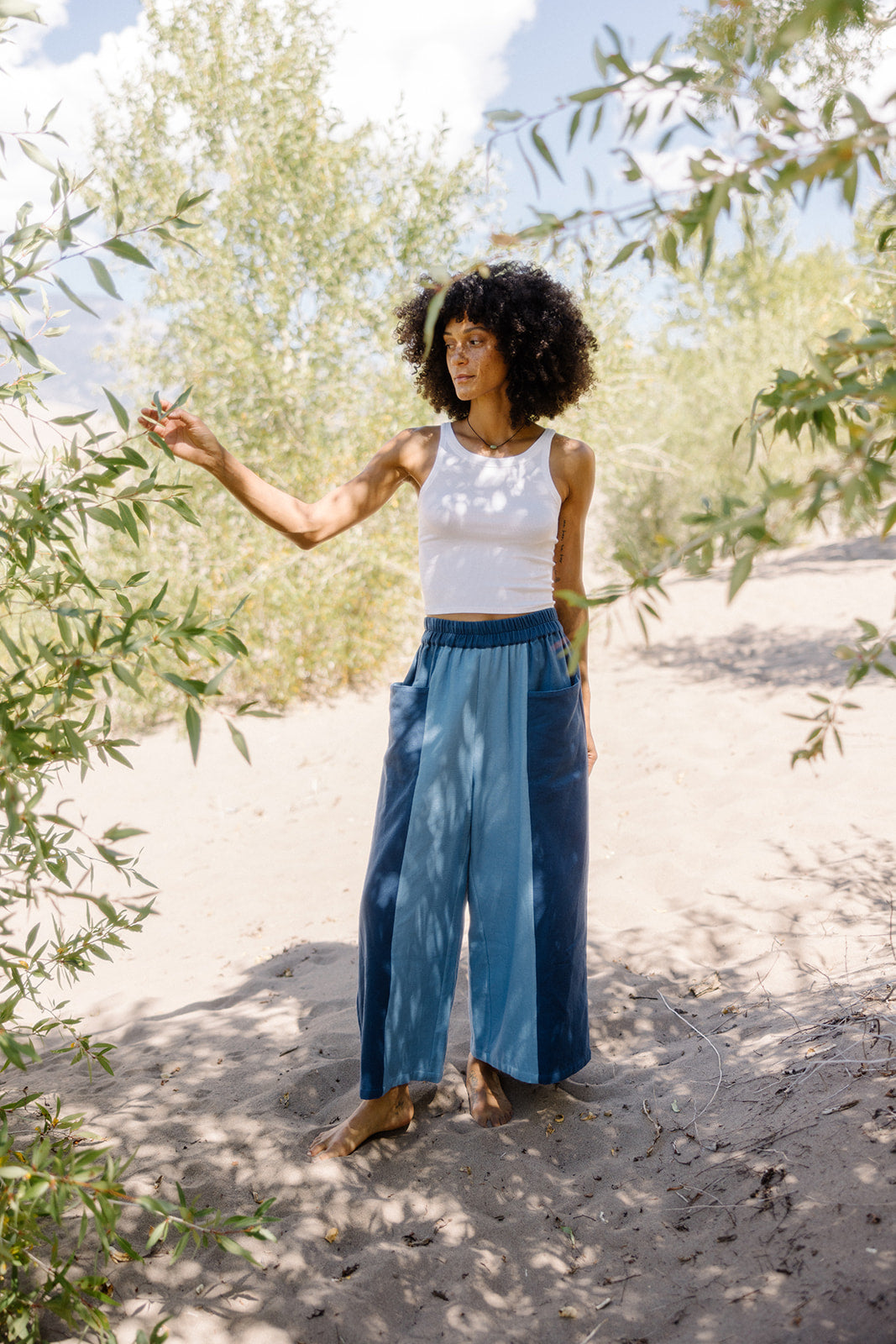 The Nayan Pant~ Indigo Multi