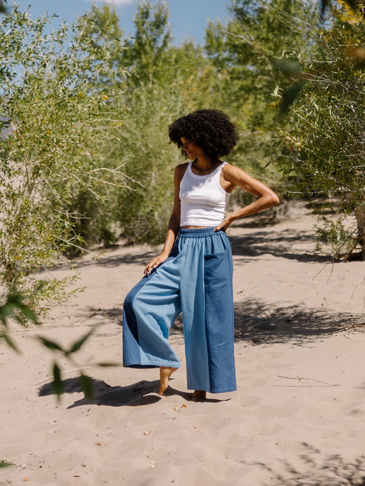 The Nayan Pant~ Indigo Multi